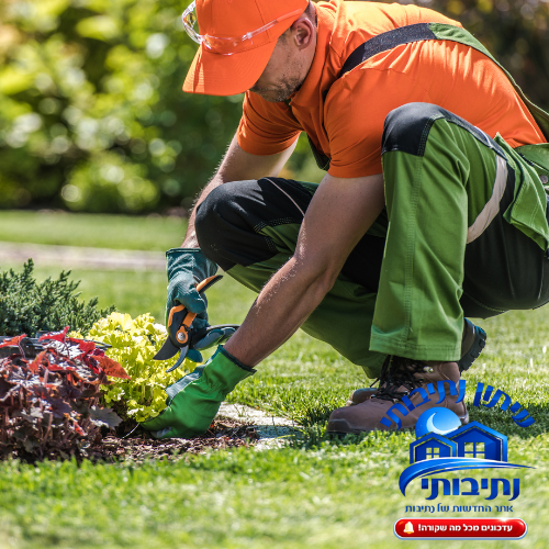 גינון בנתיבות