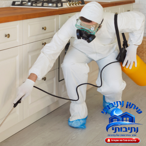 הדברה בנתיבות